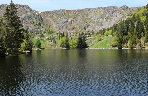 Lac dans la vallée de munster